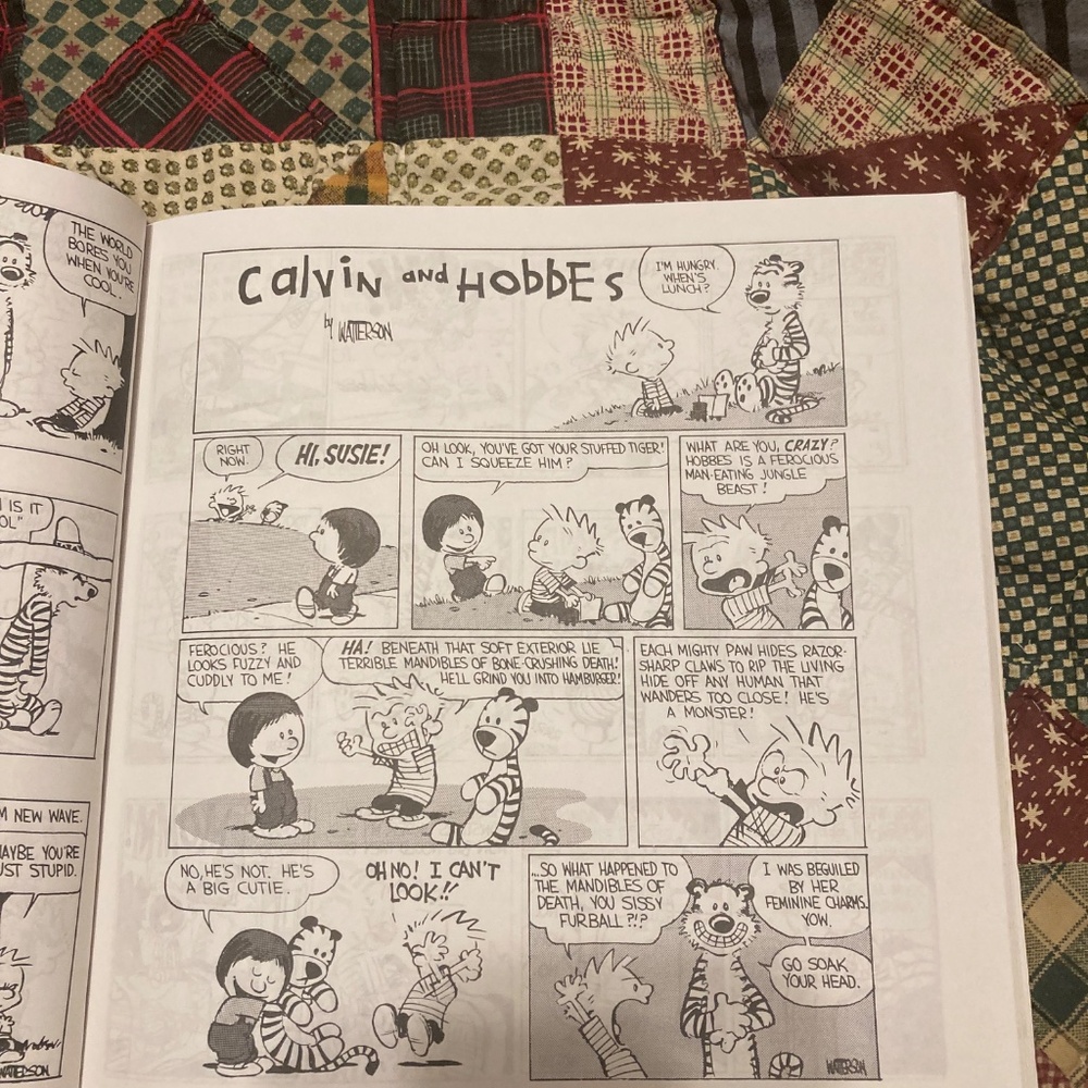 Calvin and Hobbes comic book collection - Picture 3 of 5